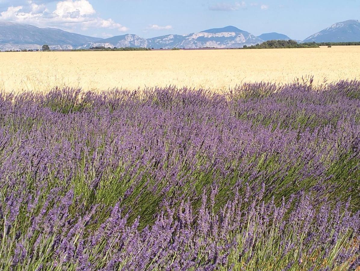 La Provence Vous Attend***!!! - 1Er Etage Digne-les-Bains Luaran gambar