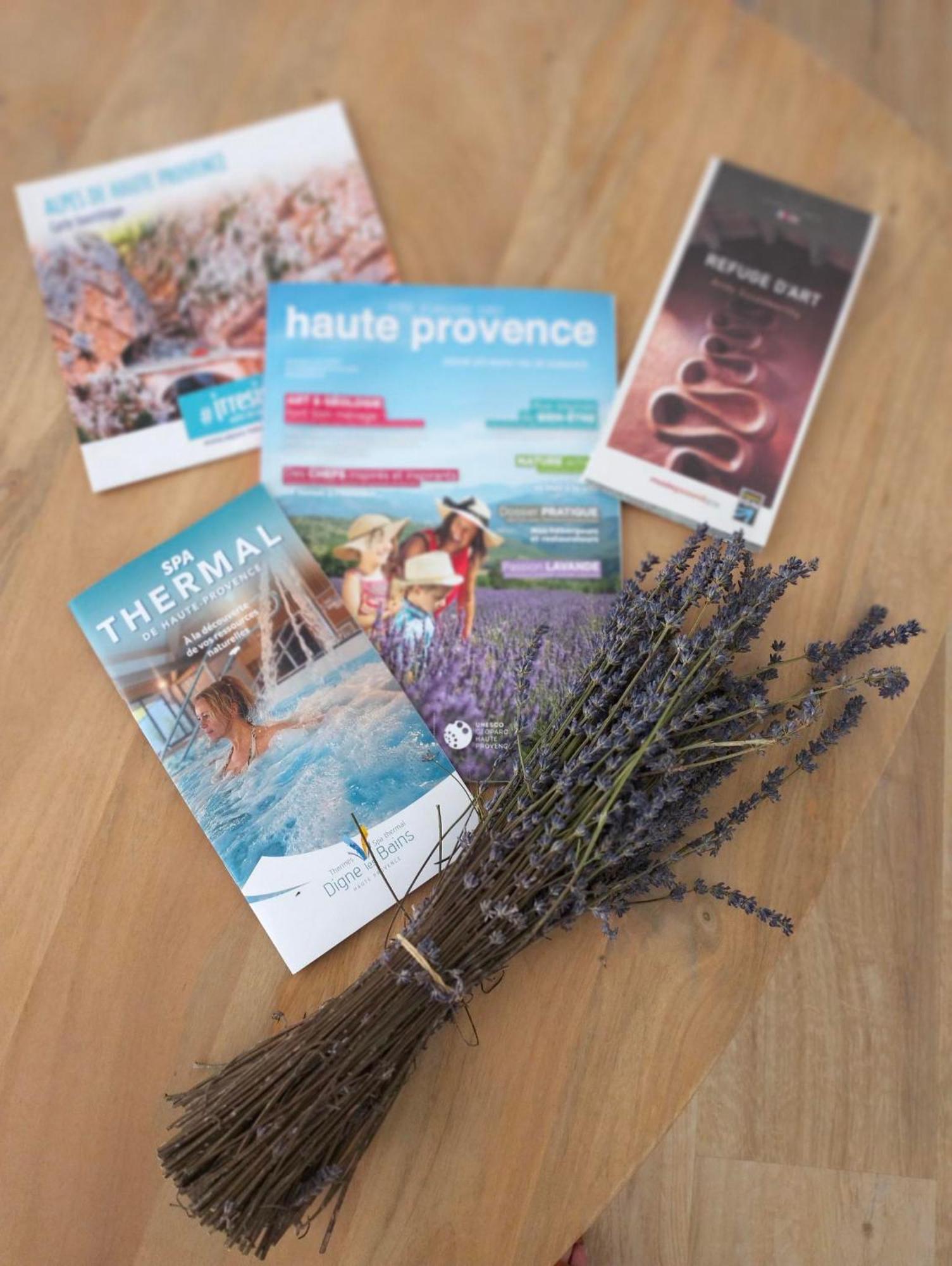 La Provence Vous Attend***!!! - 1Er Etage Digne-les-Bains Luaran gambar